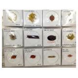 VIEW 3 INCLUDING UNLISTED TAGS