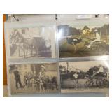 VIEW 6 VARIOUS ANIMALS