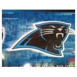 VIEW 2 CLOSEUP PANTHER