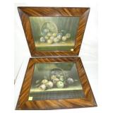 26X22 EARLY FRUIT PRINTS