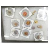 RICH, RIPE, SUN CURED TAGS