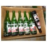 VARIOUS MOUNTAIN DEW SODA BOTTLES