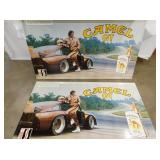 VIEW 3 CAMEL GT NOS SIGNS