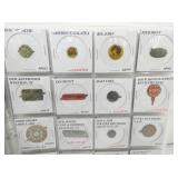 VIEW 5 RED FOX, PENNY