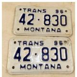 1996 MONTANA SET TAGS
