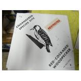 VIEW 2 CLOSEUP 14X14