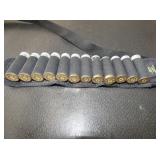 12GA. AMMO BUCK SHOT