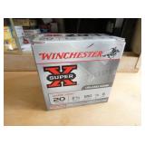 20G. WINCHESTER #8