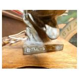 VIEW 2 CLOSEUP SEE AND EYE DOG