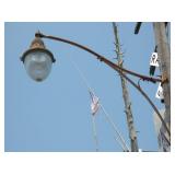 HONEY COMB STATION LIGHT