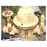 VIEW 2 CLOSEUP HYDRANT