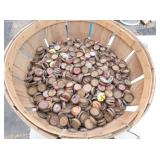 SEV. EARLY CORK SODA CAPS