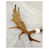 VIEW 2 CLOSEUP LEFTSIDE