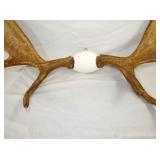 VIEW 4 MEASURES 60 SPREAD X 37 TALL