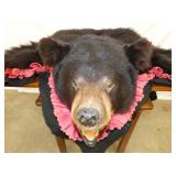 VIEW 2 CLOSEUP 62X73