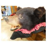 VIEW 3 CLOSEUP BLACK BEAR