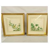 GROUP PICTURE FLOWERS 12X12