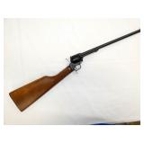 HERITAGE ROUGH RIDER 22