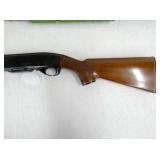 VIEW 6 REMINGTON 742 30/06