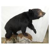 VIEW 3 ENTIRE MEASUREMENTS 50X69