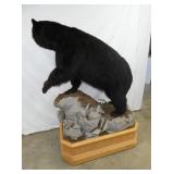 VIEW 7 OTHERSIDE VIEW