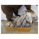 VIEW 3 ENTIRE MEASUREMENT 48X72