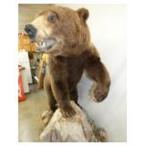 VIEW 5 MEASURES 48WIDE X 72 TALL