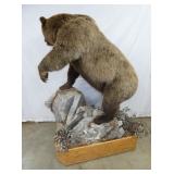 VIEW 8 OTHERSIDE GRIZZLEY