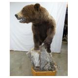 VIEW 10 FULL MOUNT GRIZZLEY