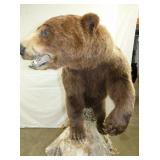 VIEW 11 MEASURES 48 WIDE X 72 TALL