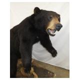 VIEW 3 ENTIRE SIZE 55X53