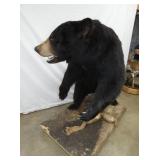 VIEW 5 FULL SIZE MOUNT