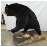 VIEW 7 MEASURES 55 WIDE X 53 TALL