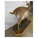 VIEW 6 MEASURES 48 WIDE X 54 TALL