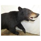 VIEW 3 ENTIRE MEASUREMENT 58X51