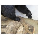 VIEW 5 MOUNTED ON BASE