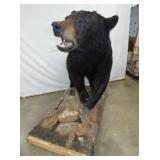 VIEW 7 MEASURES 58 WIDE X 51 TALL