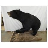 VIEW 10 FULL MOUNT BLACK BEAR