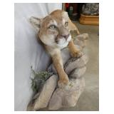 VIEW 6 FRONT VIEW MT. LION