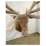 VIEW 3 28W X 42L X 80T