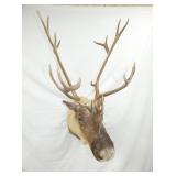 VIEW 4 W/ 24IN SPREAD/WIDE