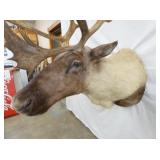 VIEW 6 CLOSEUP OTHERSIDE