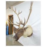 VIEW 8 CARIBOU MOUNT