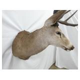 VIEW 6 45T X 30L X 20W