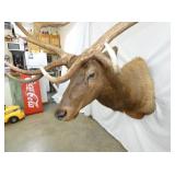 VIEW 3 48IN LENGTHX 80IN TALL