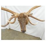 VIEW 5 VERY UNUSUAL SPREAD