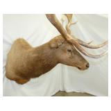 VIEW 7 OTHERSIDE ELK