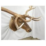 VIEW 10 48IN L X 80IN T X 57IN W