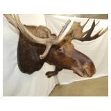 VIEW 3 40IN LENGTH X 33IN TALL