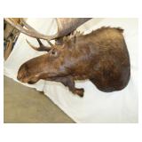 VIEW 5 OTHERSIDE MOUSE